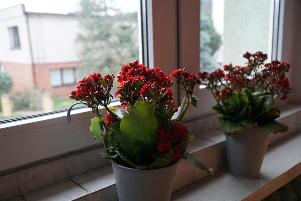 Apartament Paderewski Poznan Dış mekan fotoğraf