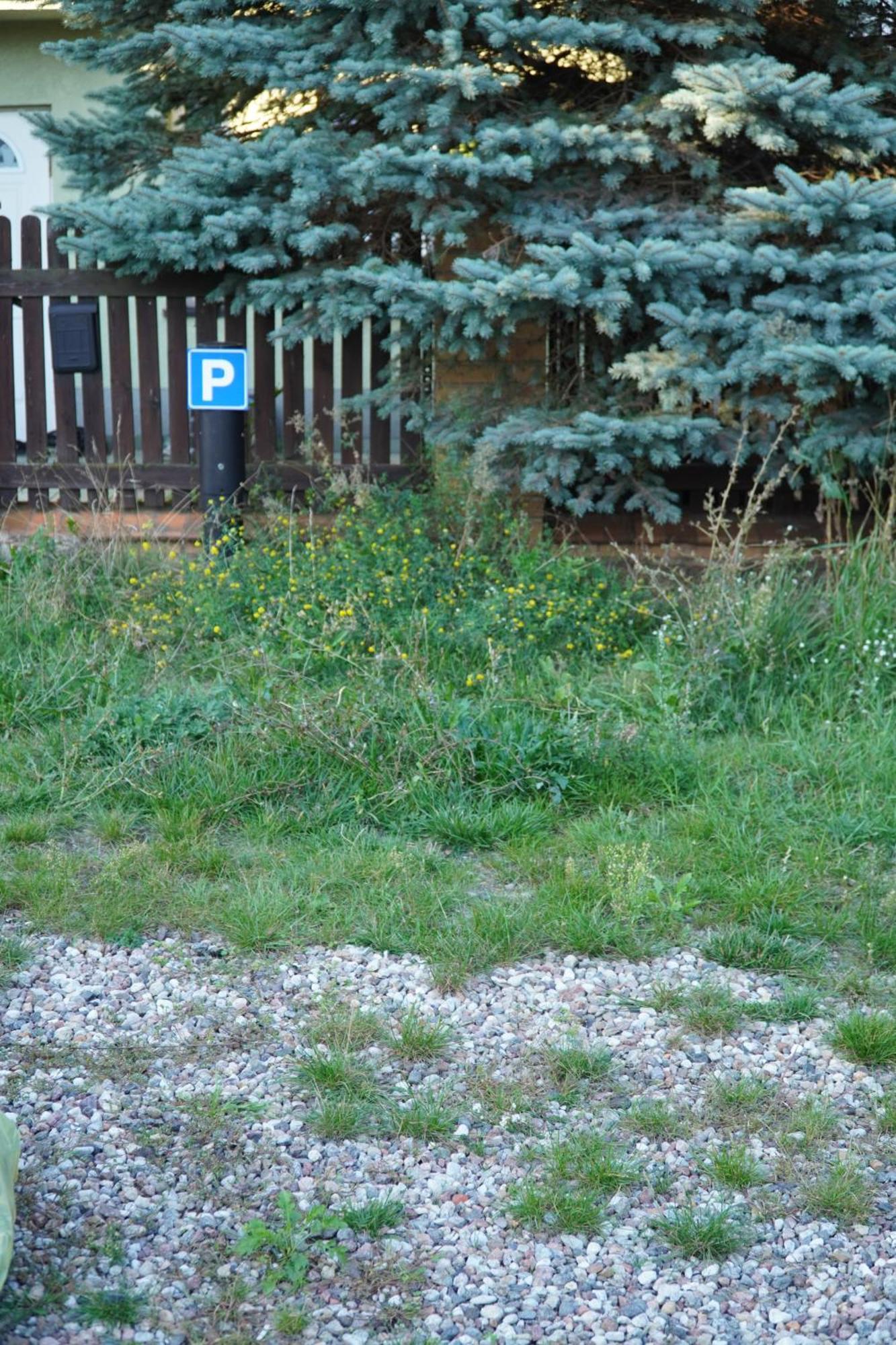 Apartament Paderewski Poznan Dış mekan fotoğraf